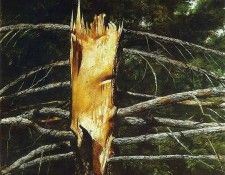 File8979. Wyeth, ������