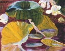 perry lotus flowers (oya, japan) c1900.  