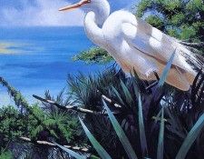 Rigby, Adrian C - Tropical Shores (end. ,  C.