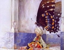 lrs Rayyan Omar Pear Meditations1. , 