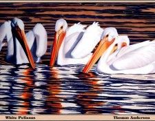 p-bwa-04. ��������, �����