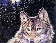 f WSC 06 SallyJSmith SheWolf. ,  J
