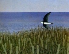 Alex Colville - One Swallow, De. , 