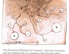 bs GOR 92 Vitis Paranoica. , 
