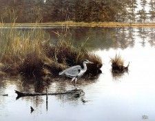 Verstappen Pieter Nature 26 Sun. Verstappen, 