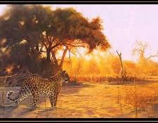 bs- Shirley Greene- Dawn Patrol. , 