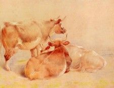 Huggins William Cattle Resting(2). �������, ������ ����