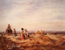 Cox David In The Hayfield. ����, �����