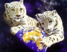 20. Schimmel, ������