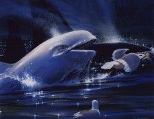 lrs Casad Michael Feathered Bubbles. , 
