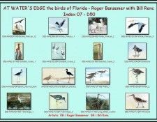 D50-At Waters Edge-Index 07. Bansemer, ������