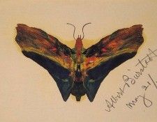 Butterfly v2. , 
