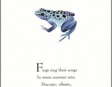 pa TonyOliver FrogsSingSongs 03a. , 
