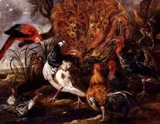 Fyt Jan A Peacock In A Landscape With Roosters Turkeys Ducks A Heron And A Parrot. Fyt, 
