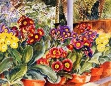 Lesley Fotherby - Primeveres dans une serre (detail-R), De. Fotherby, 