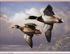 HautmanJames Cypress Swamp Mallards We@ISC. Hautman ������
