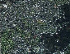 art 713. ������, �����