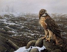 Pierre Girard - Queen of the Land, De. , 