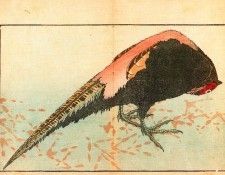 pic09577. �������