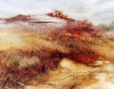 Tol Jaap Kennermerdunes Sun.  