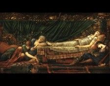 Sleeping beauty. -   