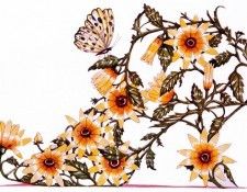 Dennis Kyte - Black-eyed Susans, De. , 
