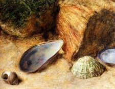 Hunt William Henry Still Life With Sea Shells On A Mossy Bank. ����, ������ �����