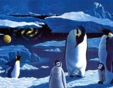 p-Schimmel 45. Schimmel, ������