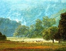 Ae 41 Ngurman Mountain Glade Simon Combes sqs. ����, �����