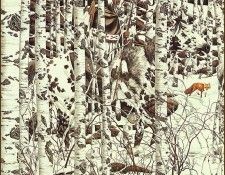 lrsDoolittleBev WoodlandEncounterdet. , 