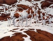 lrs Doolittle Bev Pintos. �������, ���