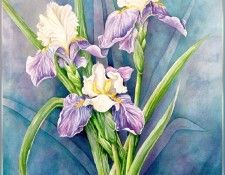 Dietrich-LorrainePiquette-StJosephsIrises (sj-art362). Lorraine Dietrich, 