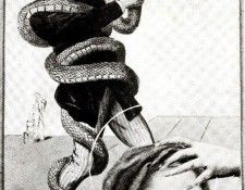 03521. �����, ����