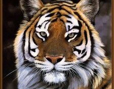 p Pollyanna Pickering Cal2001 00. ��������, ���������