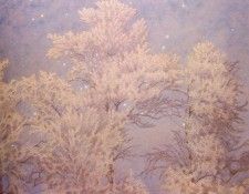 Fjaestad Gustaf Hoar frost And Stars. Fjaestad, 