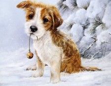 Shirley Deaville - Jingle, De. Deaville, 
