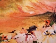 Claire Conte - Fleurs de desert, De. , Claire