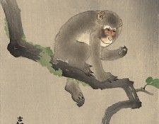 pic02196. �����