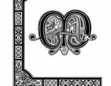 xlr8 cd50. �����, ������