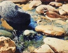 lrsWordReagan-Killdeer. , 