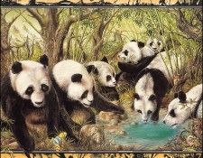 lrsBaseGraeme Waterhole07Pandas. ����, ����