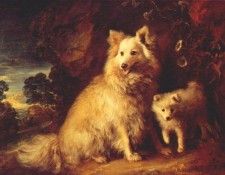 gainsborough pomeranian bitch and puppy c1777. , 