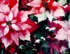 Alan Cross - Christmas Garden, De. , 