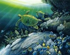 kb Nelson RL Honu. Nasmith, 