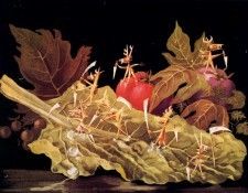 11600. Varo, 