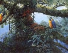 kb Ratnavira Gamini-Spirits of the Canopy. Ratnavira, 