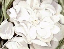 okeeffe white calico flower 1931. OKeeeffe, 