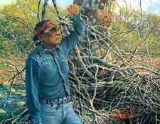 abeita csg016 must have lost his hobble. ��������, ����