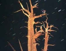 Funny 202. ����� ������ - ���� �����