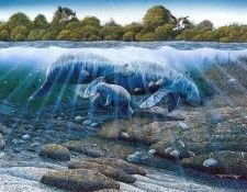 kb RLN Manatees Gentle Giants of the Florida Waterways. ,  